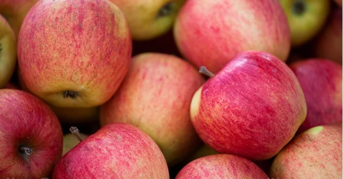 Scientists link chemicals used on apples to the rise of a DRUG-RESISTANT pathogen that’s plaguing healthcare facilities