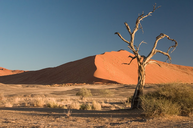 Desert, Sahara, Talentedjobless, Beauty