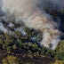 Alerta roja por incendio forestal en Teno