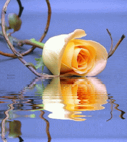 Animated Gif Image Of Flowers