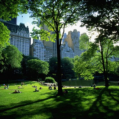 central park spring wallpaper. central park wallpaper.