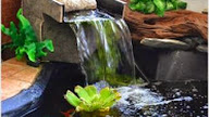 Model Kolam Ikan Mini Pengshias Rumah