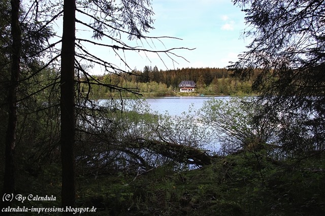 Windgfällweiher Seerundgang