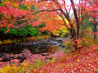 Amazing Fall New England Fall Foliage