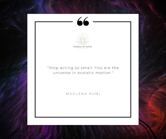 “Stop acting so small. You are the universe in ecstatic motion.”  - Maulana Rumi