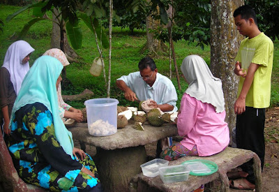 durian oh durian..