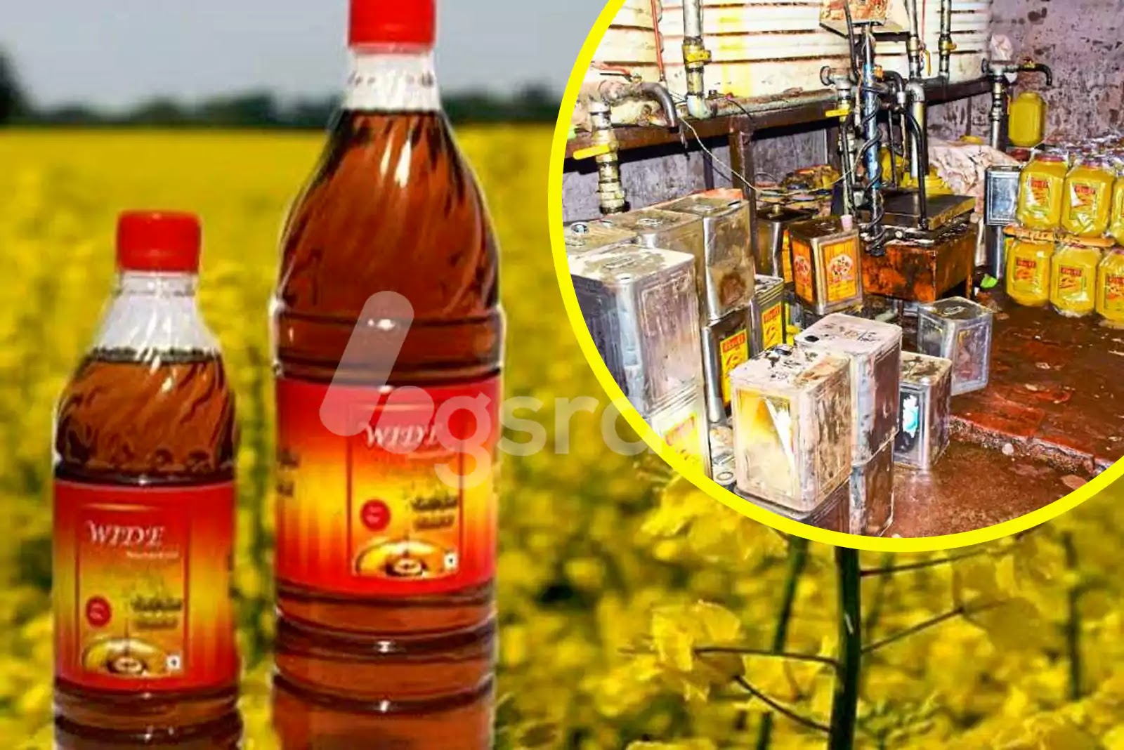 Business Ideas: Start your oil mill, earn a bumper income every month, know how