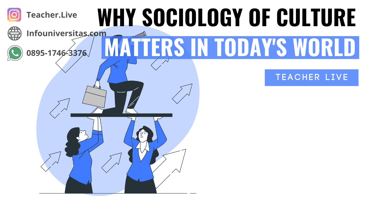 Why Sociology of Culture Matters in Today's World