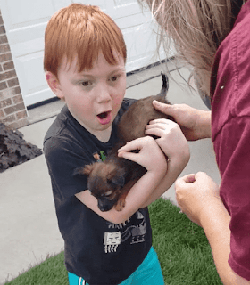 Niño llora lágrimas de alegría cuando su familia lo sorprende con un cachorro