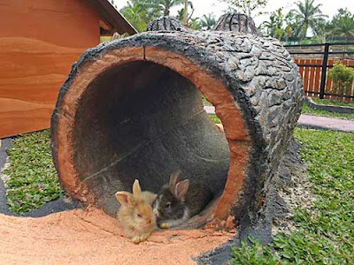 Rahmat Zoo & Park, Kebun Binatang di Perbaungan ...