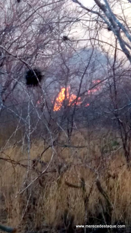 Incêndios destroem áreas de mata na região Agreste de Pernambuco