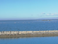 Saline di Margherita di Savoia