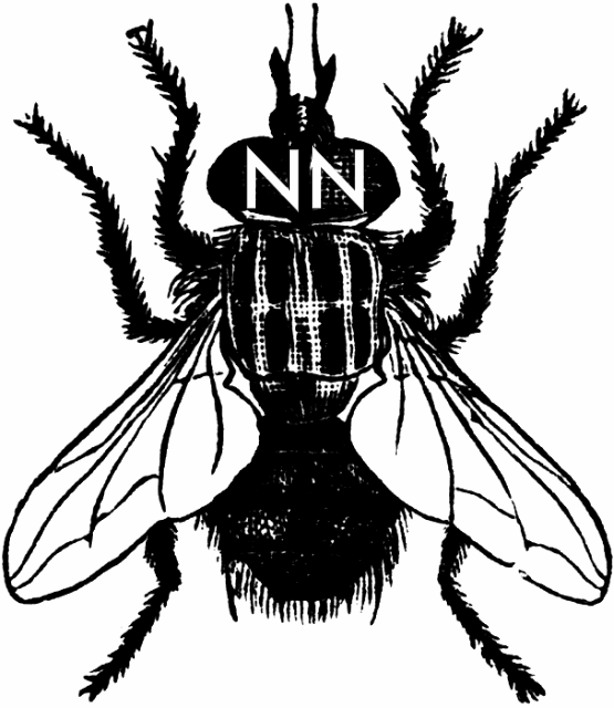 Nonsense Noise