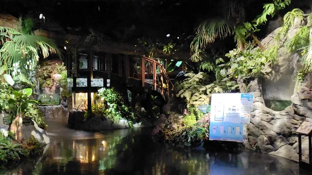 DMMかりゆし水族館に楽しんで来ました！沖縄家族旅行
