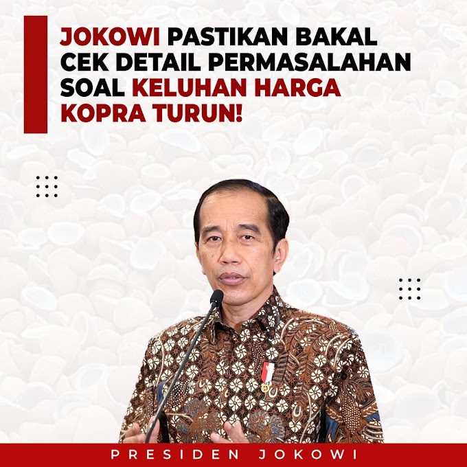  Jokowi Pastikan Bakal Cek Detail Permasalahan Soal Keluhan Harga Kopra Turun! 