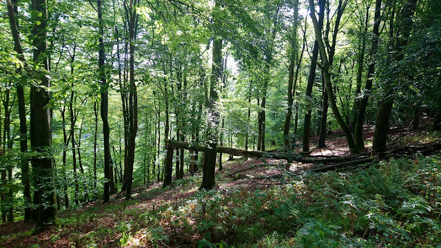 Sauerland wandern Wetter blog Meschede Schluchtengebirge