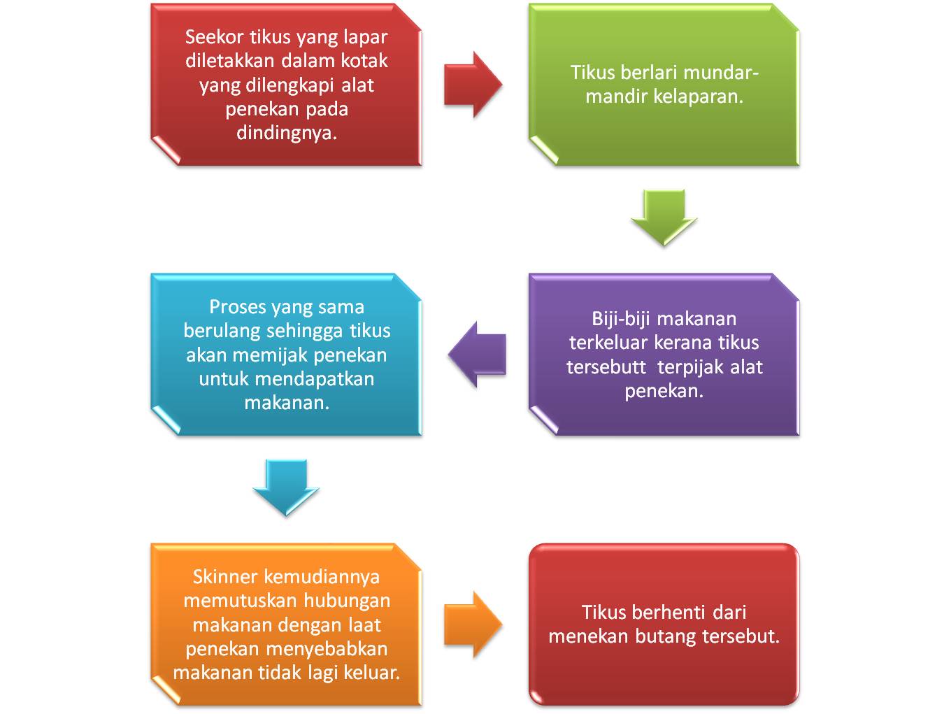 Bimbingan Konseling Kita