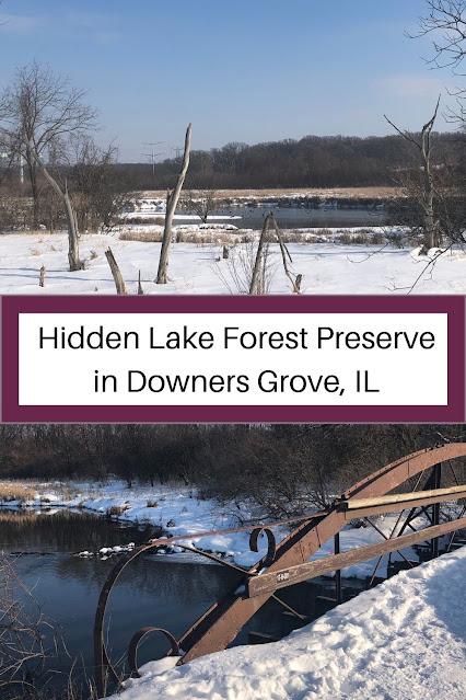 Late Winter Wander at Hidden Lake Forest Preserve in Downers Grove, IL