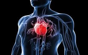 Bệnh tim mạch – biến chứng nguy hiểm của bệnh gút