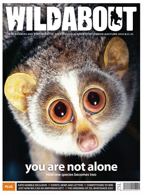 Wildabout Bush Baby Cover