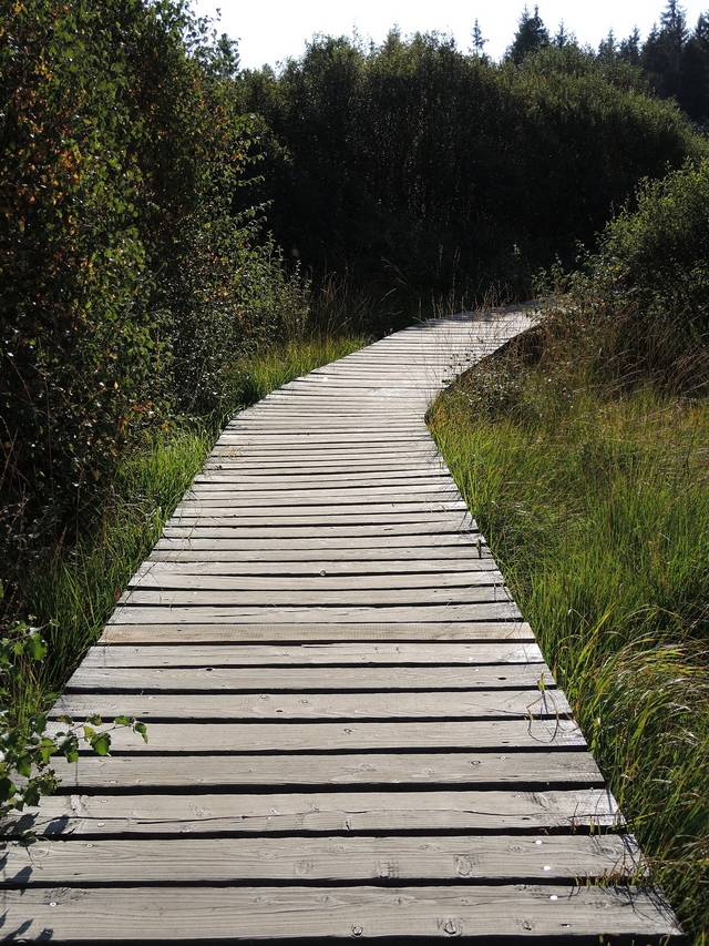 Eupen: wandelen in het Brackvenn