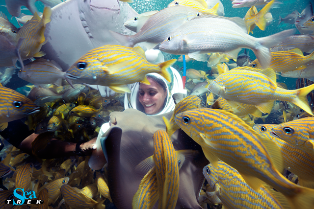 Sea TREK surrounded by fish