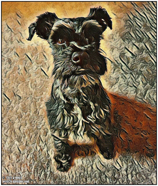 dog art