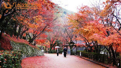 Cố đô Kyoto - Tham quan mùa thu lá đỏ
