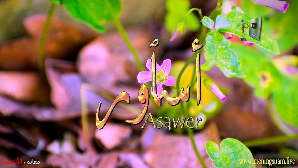 معنى اسم, اساور, وصفات, حاملة, هذا الاسم, Asawer,