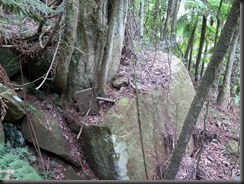 180209 020 Scenic World Katoomba