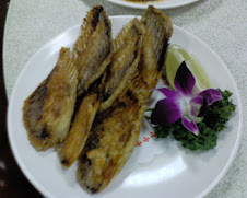 萬里海龍珠招牌烤魚排
