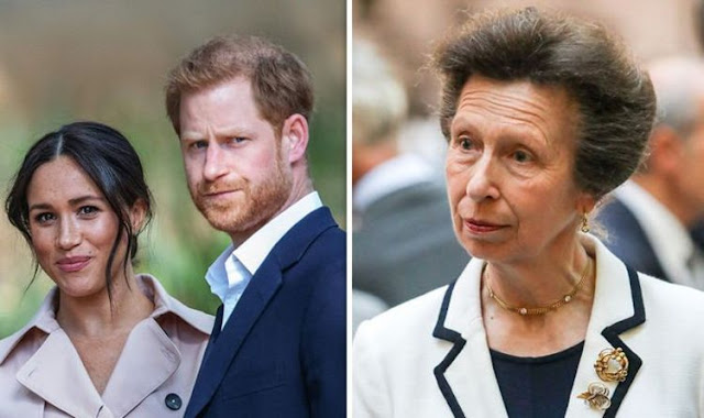 Princess Anne Keeps Distance from Prince Harry and Meghan Markle Due to Political Sensitivities