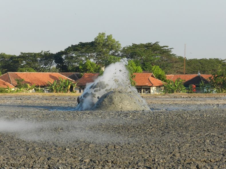 bleduk-kuwu-6