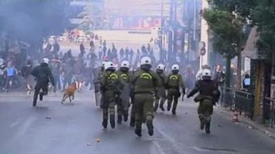 The Return of the Riot Dog Seen On www.coolpicturegallery.us