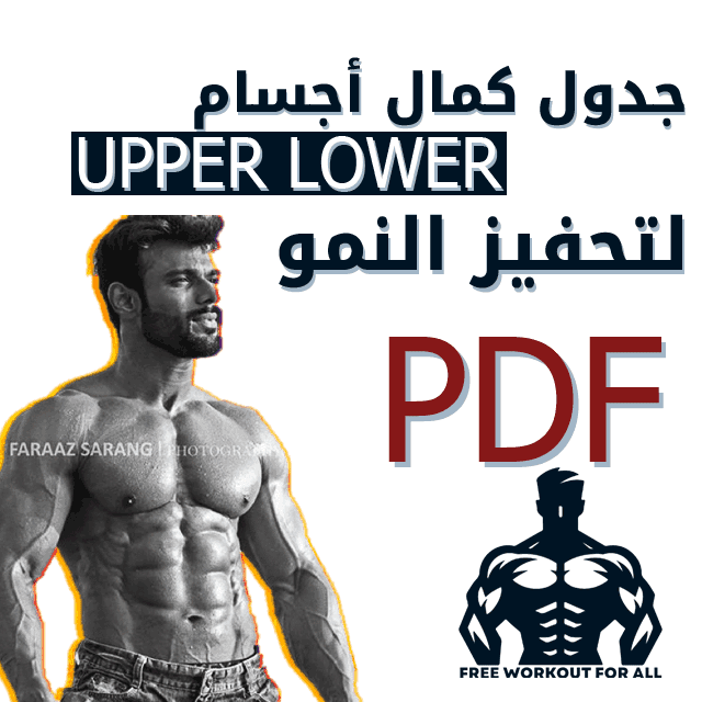 جدول تمارين upper lower بالصور