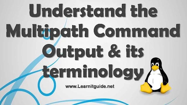 Understand Multipath Command Output & its Terminology