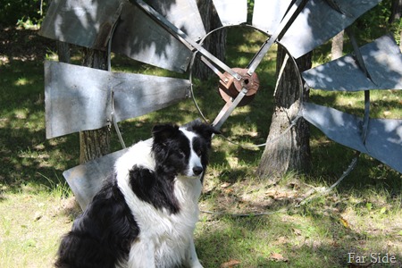 Chance and the windmill vanes