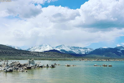 mono lake