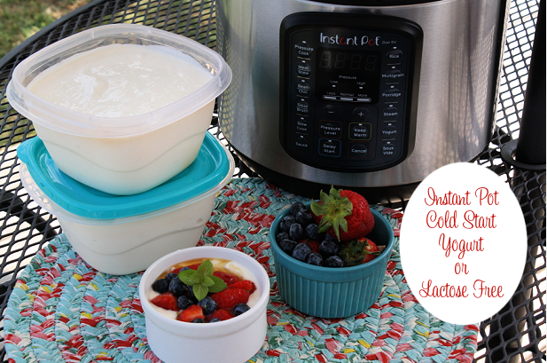 Instant Pot Greek Yogurt Recipe {Cold Start}