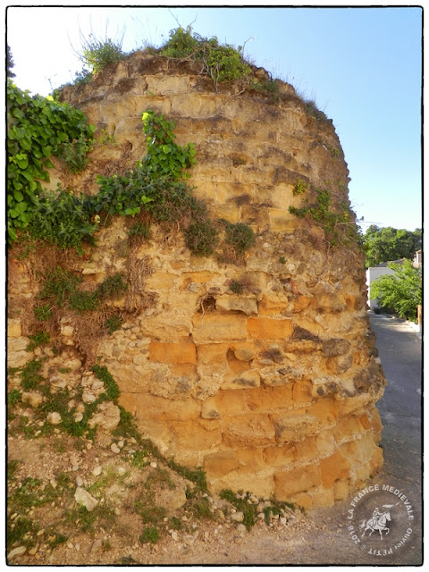 SAINT-ROMAN-DE-MALEGARDE (84) - L'ancien château-fort des Templiers