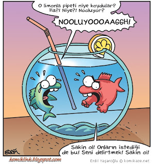 Erdil Yaşaroğlu Karikatürleri