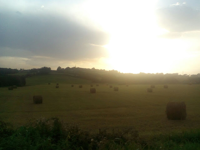 atardecer-rollos-hierba