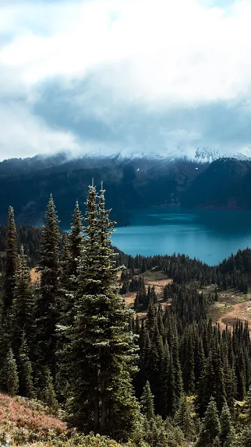 Lake, Spruce, Trees, Mountains, Forest, Clouds