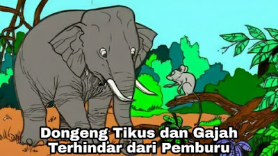 Sakolaku