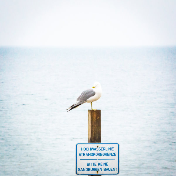 Die Ostsee im Winter