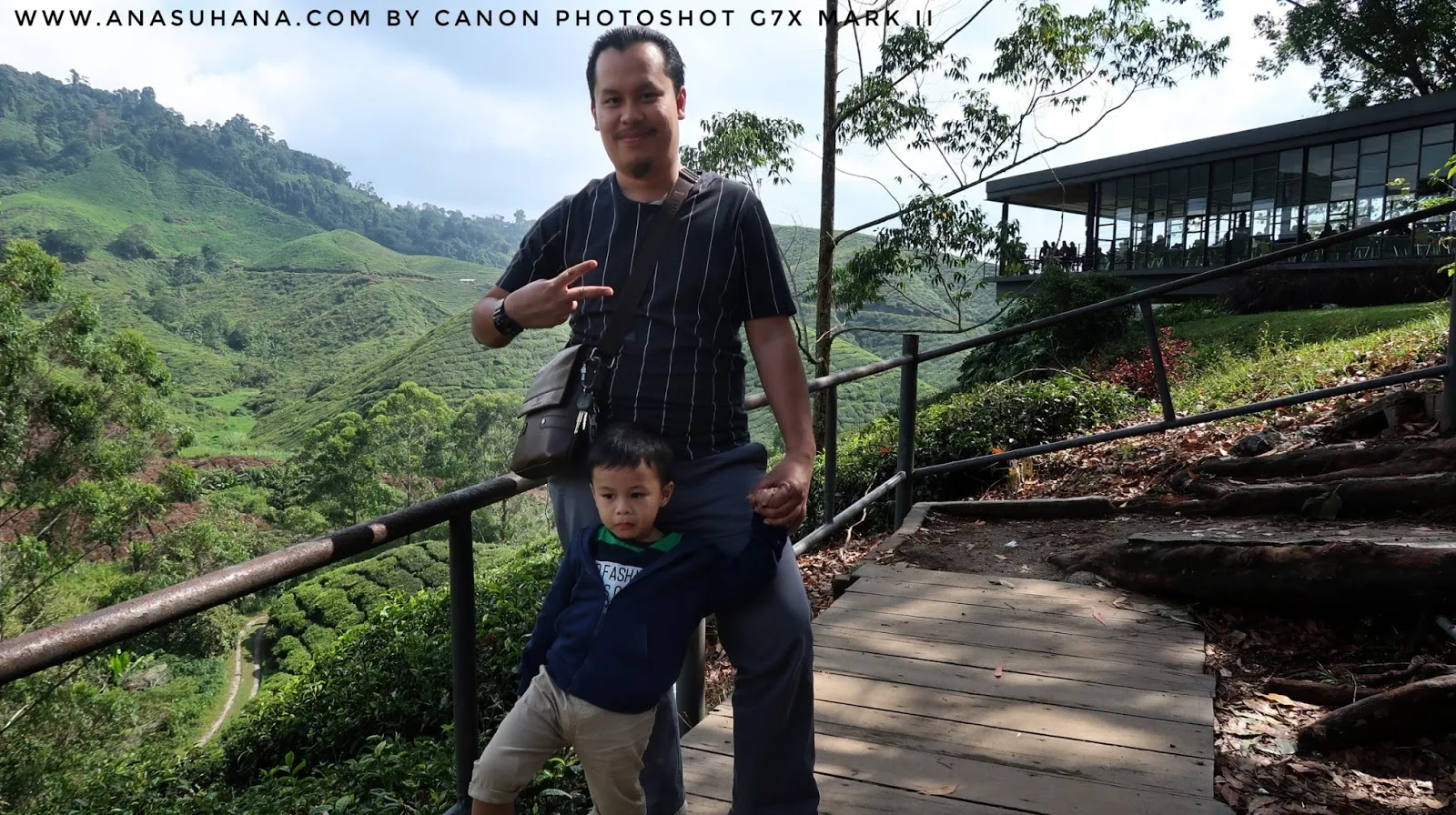 Tempat Menarik di Cameron Highlands : Cameron Valley Bharat Tea Plantation dan Boh Tea Centre Sungai Palas