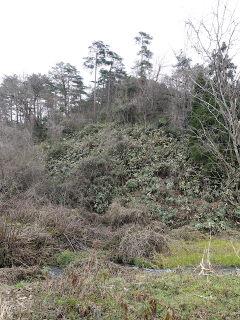 鳥取県西伯郡伯耆町丸山　地蔵滝の泉