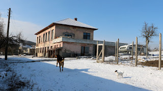 Looking back up to the house