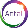 Antal International Supply Chain Manager Lahore