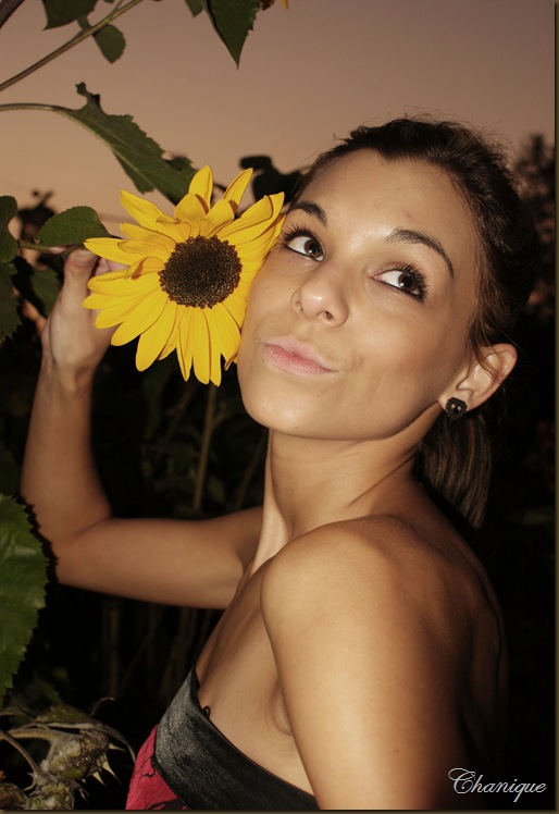SONY DSC